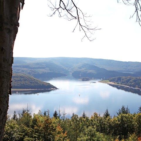 View of the Rursee from the cliffs View of the Rursee from the cliffs