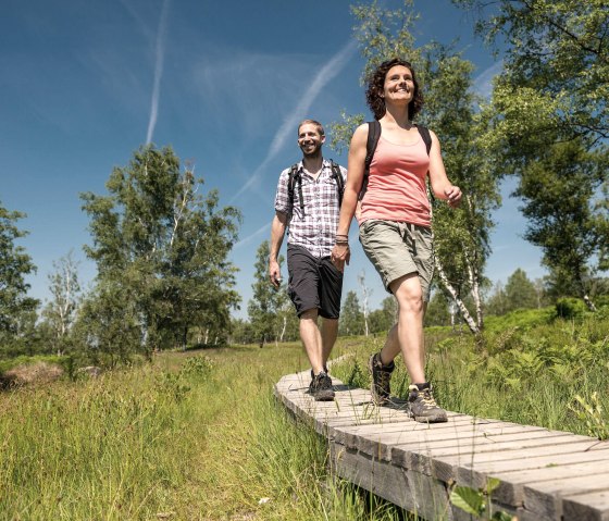 Holzstege über Moorflächen, © Eifel Tourismus, Dominik Ketz Holzstege über Moorflächen, © Eifel Tourismus, Dominik Ketz