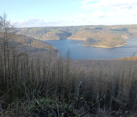 Nationalpark Eifel- Blick auf den Rursee Nationalpark Eifel- Blick auf den Rursee