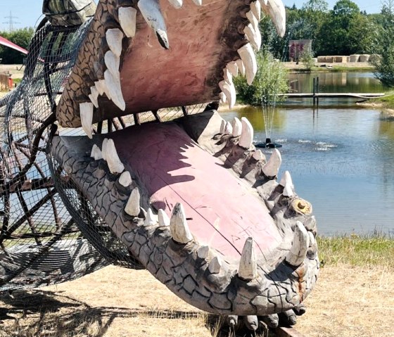 Krokodil, © Krewelshof Eifel Krokodil, © Krewelshof Eifel