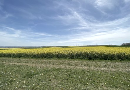 Wollersheimer Bördelandschaft, © Rureifel-Tourismus e.V. Wollersheimer Bördelandschaft, © Rureifel-Tourismus e.V.