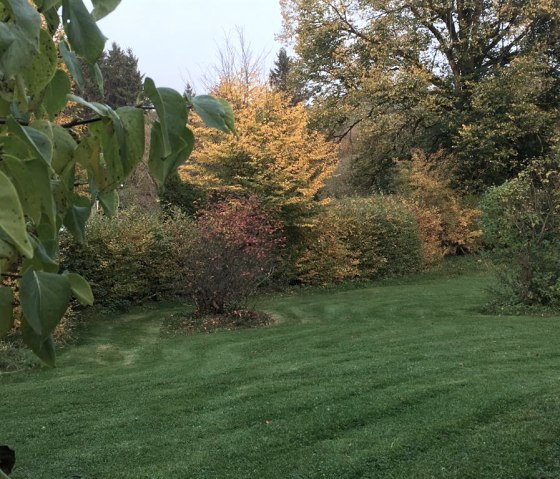 IMG_0647, © Nordeifel Tourismus GmbH & Mein EIfel FH CHarlotte IMG_0647, © Nordeifel Tourismus GmbH & Mein EIfel FH CHarlotte