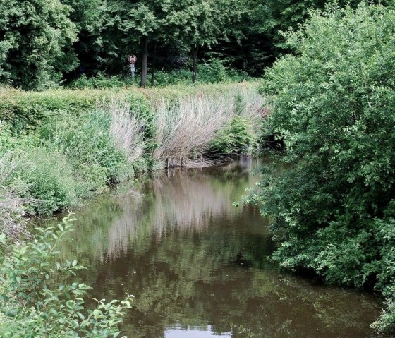 Wassergraben bei der Hardtburg Wassergraben bei der Hardtburg