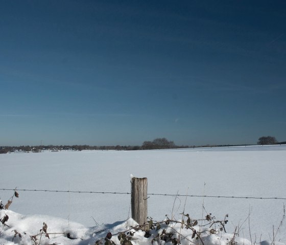 Winter, © Juliane Paustenbach Winter, © Juliane Paustenbach
