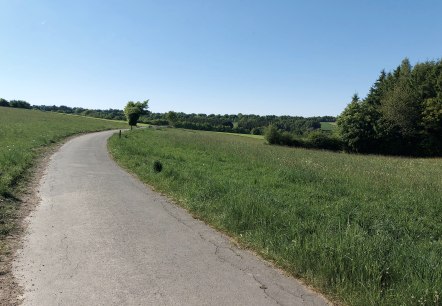 Wiesenaussicht Huppenbroich Juli-August (co) Theiß Wiesenaussicht Huppenbroich Juli-August (co) Theiß