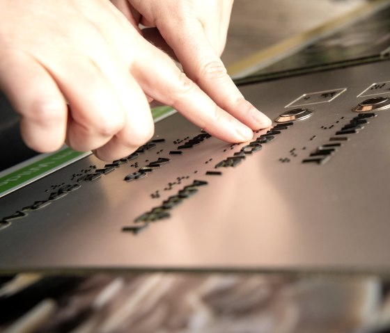 Unterwegs auf dem Wilden Weg, © Nationalpark Eifel, Dominik Ketz Unterwegs auf dem Wilden Weg, © Nationalpark Eifel, Dominik Ketz