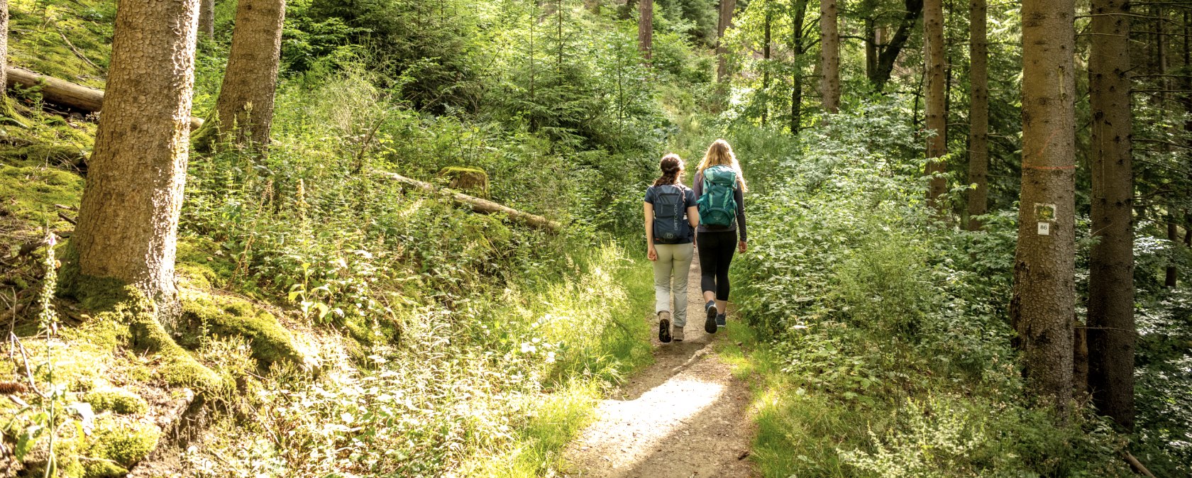 wandern auf der 86 - Große Rurtal-Runde, © Städteregion Aachen, Dominik Ketz wandern auf der 86 - Große Rurtal-Runde, © Städteregion Aachen, Dominik Ketz