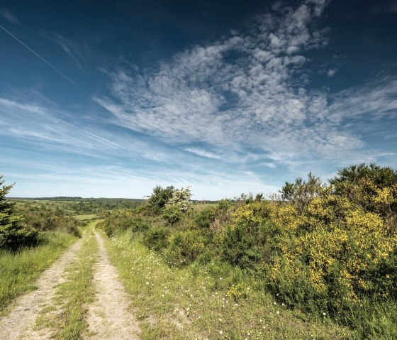 Dreiborn plateau, © Stadt Schleiden, Dominik Ketz Dreiborn plateau, © Stadt Schleiden, Dominik Ketz
