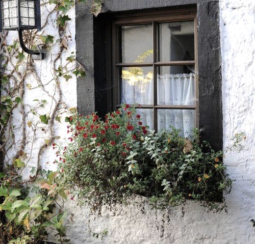 Impressionen, © Nordeifel Tourismus GmbH & Landgasthof Em Lande Impressionen, © Nordeifel Tourismus GmbH & Landgasthof Em Lande