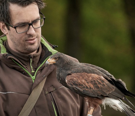 im Wildpark Schmidt, © A. Baumbach im Wildpark Schmidt, © A. Baumbach