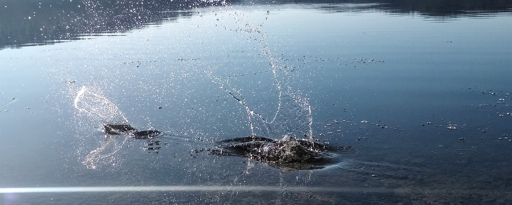 Kurse für die Seele, © Rursee-Touristik GmbH, Sabine Herfort Kurse für die Seele, © Rursee-Touristik GmbH, Sabine Herfort