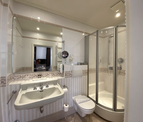 Standard bathroom shower example Standard bathroom shower example