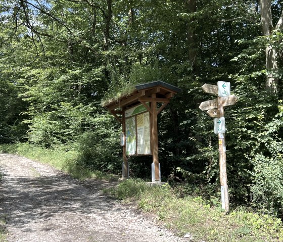 IMG_2349, © Rureifel-Tourismus e.V., Michelle Wiesen IMG_2349, © Rureifel-Tourismus e.V., Michelle Wiesen