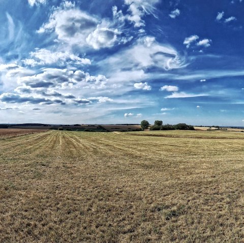 Ausblick vom "Nievesknipp", © Rureifel-Tourismus e.V. Ausblick vom "Nievesknipp", © Rureifel-Tourismus e.V.