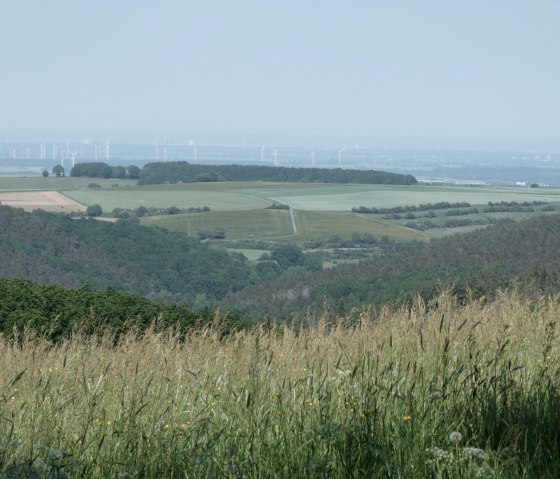 Aussicht, © Eifel heimisch Aussicht, © Eifel heimisch