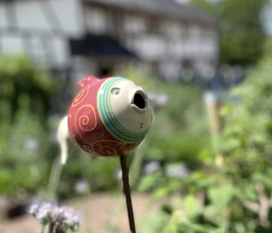 image00005, © Nordeifel Tourismus GmbH & Ferienwohnung Sternengarten Eifel image00005, © Nordeifel Tourismus GmbH & Ferienwohnung Sternengarten Eifel