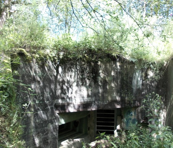 Bunker des Westwalls, © Eifel heimisch Bunker des Westwalls, © Eifel heimisch