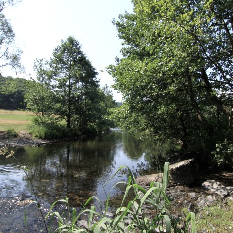 Rura floodplain near Dedenborn, © Gemeinde Simmerath, Jessica Jehnen Rura floodplain near Dedenborn, © Gemeinde Simmerath, Jessica Jehnen