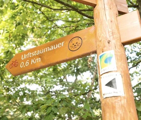 Vorbei am Wildnistrail auf dem Eifelsteig, © Eifel Tourismus GmbH, D. Ketz Vorbei am Wildnistrail auf dem Eifelsteig, © Eifel Tourismus GmbH, D. Ketz