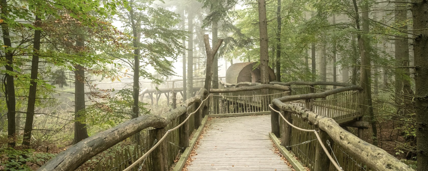 Der wilde Weg in Nationalpark Eifel, Holzsteg, © Nationalpark Eifel, Dominik Ketz Der wilde Weg in Nationalpark Eifel, Holzsteg, © Nationalpark Eifel, Dominik Ketz