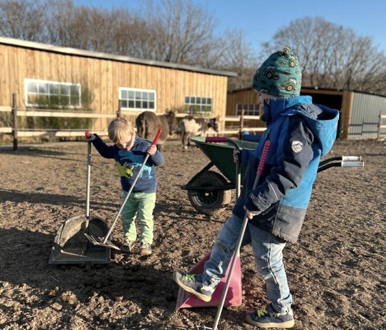 Esel-Pflege, © Wildpark Schmidt Esel-Pflege, © Wildpark Schmidt