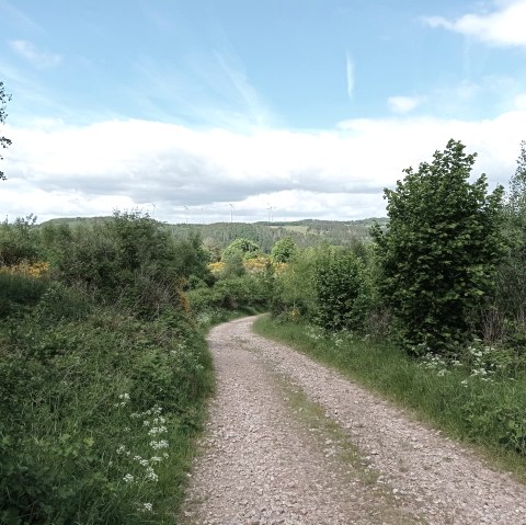 Wanderung, © Nationalpark Seelsorge Wanderung, © Nationalpark Seelsorge