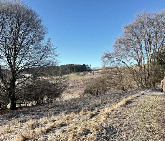 Adventlicher Spaziergang, © Eifeler Kräuterwelten Adventlicher Spaziergang, © Eifeler Kräuterwelten