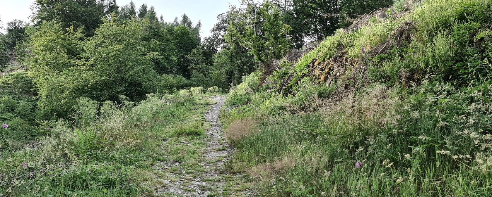 On mysterious paths On mysterious paths