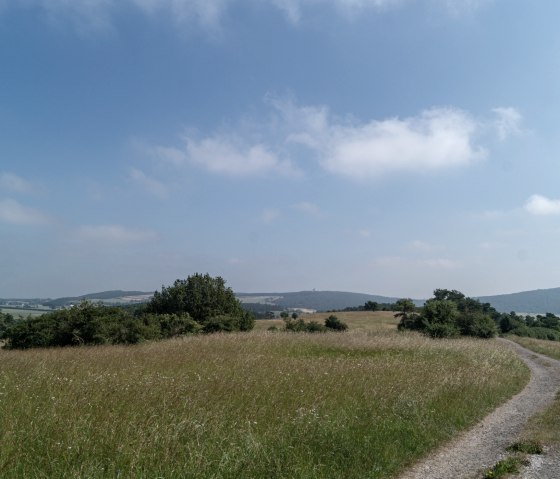 A narrow path winds through a wide, green meadow with scattered trees under a clear, blue sky., © Nordeifel Tourismus GmbH A narrow path winds through a wide, green meadow with scattered trees under a clear, blue sky., © Nordeifel Tourismus GmbH