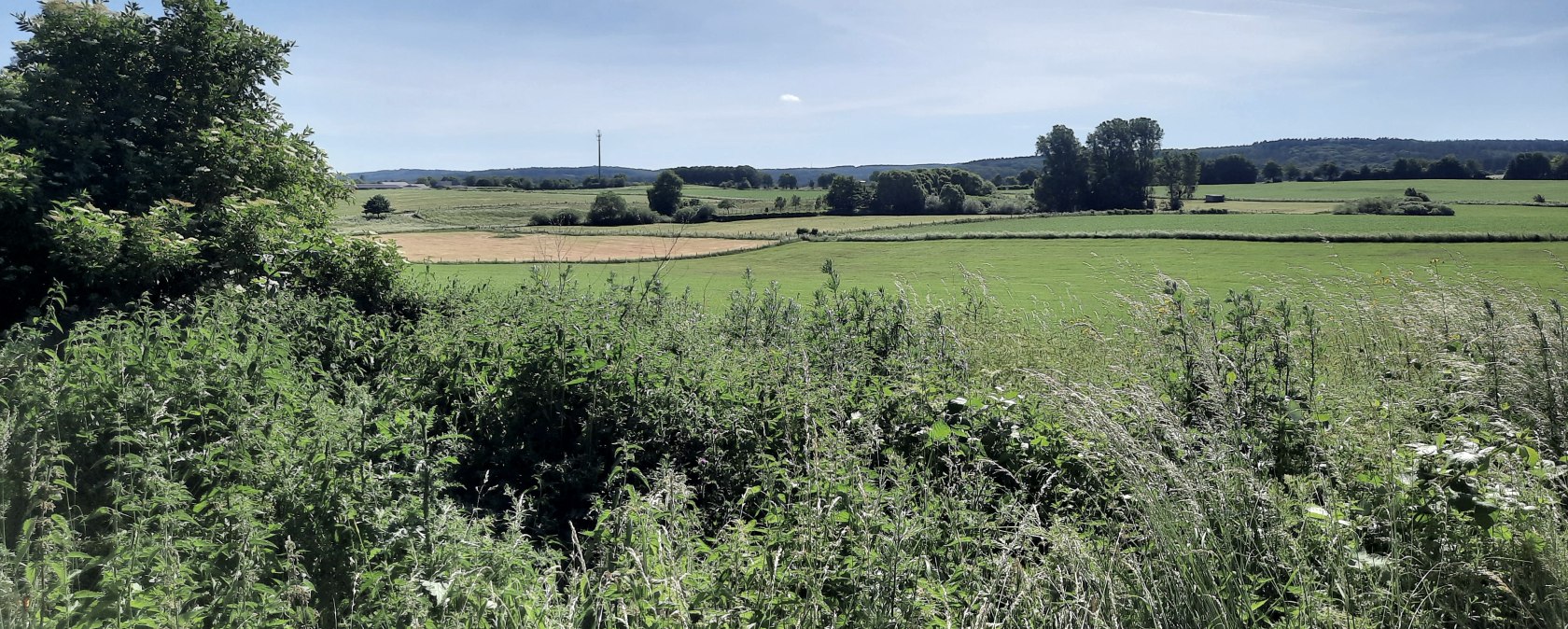 Montanhistorischer Wanderweg, © Jens Mieckley Montanhistorischer Wanderweg, © Jens Mieckley