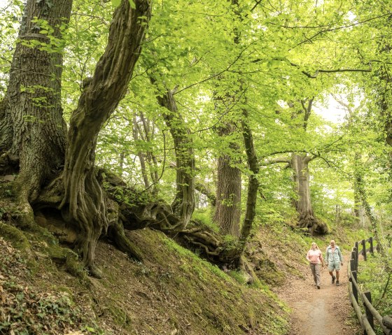 Near Zweifall Abbey, © Kupferstadt Stolberg, Dominik Ketz Near Zweifall Abbey, © Kupferstadt Stolberg, Dominik Ketz