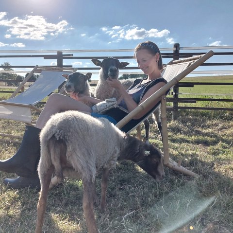 Kuscheln mit Schafen, © Die-Rote-16 Kuscheln mit Schafen, © Die-Rote-16