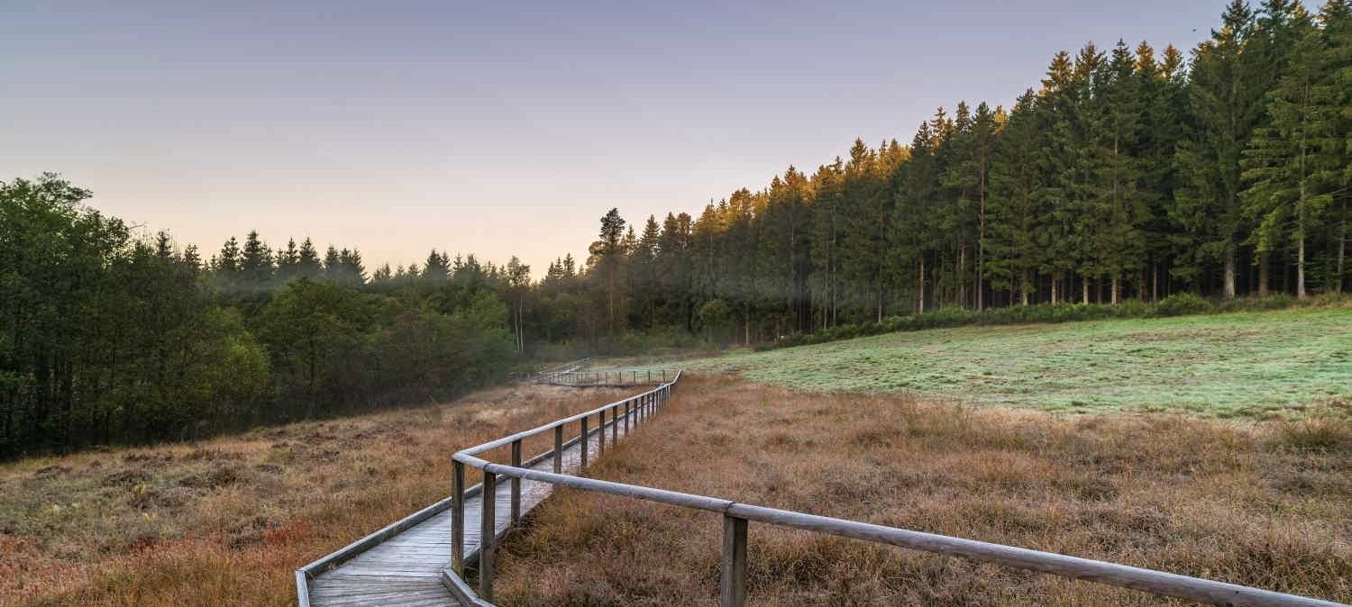 Moorlandschaft, © Paul Meixner Moorlandschaft, © Paul Meixner