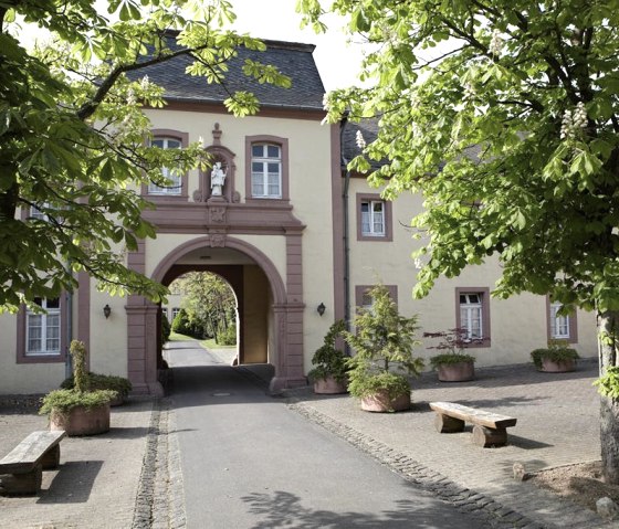 Kloster Steinfeld Einfahrt, © Nordeifel Tourismus GmbH & Gästehaus Kloster Steinfeld Kloster Steinfeld Einfahrt, © Nordeifel Tourismus GmbH & Gästehaus Kloster Steinfeld