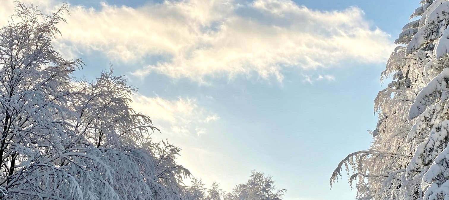 Winterlandschaft, © Petra Schumacher Winterlandschaft, © Petra Schumacher