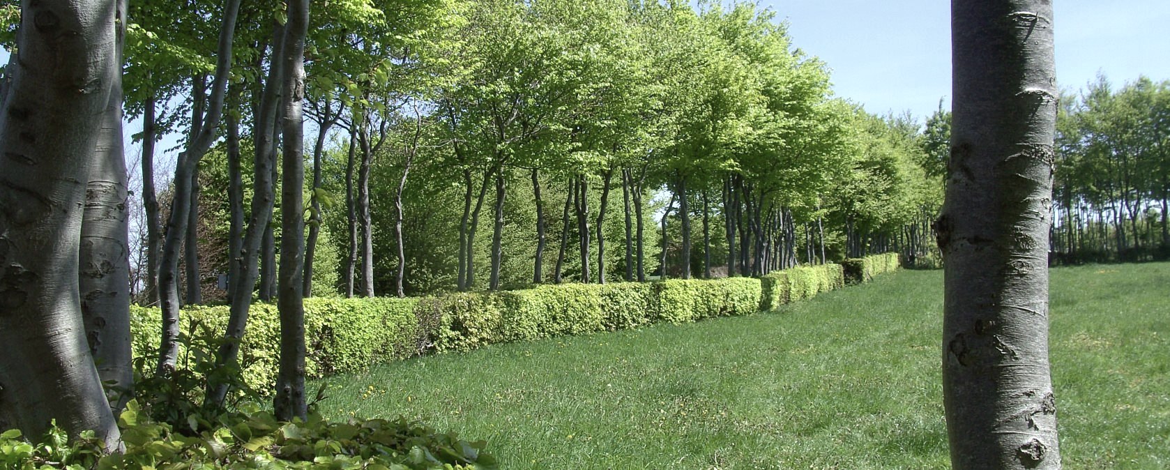 Wanderweg Heckenlandroute: Entlang der Buchenhecken wandern, © Monschauer Land/G. Scheidt Wanderweg Heckenlandroute: Entlang der Buchenhecken wandern, © Monschauer Land/G. Scheidt