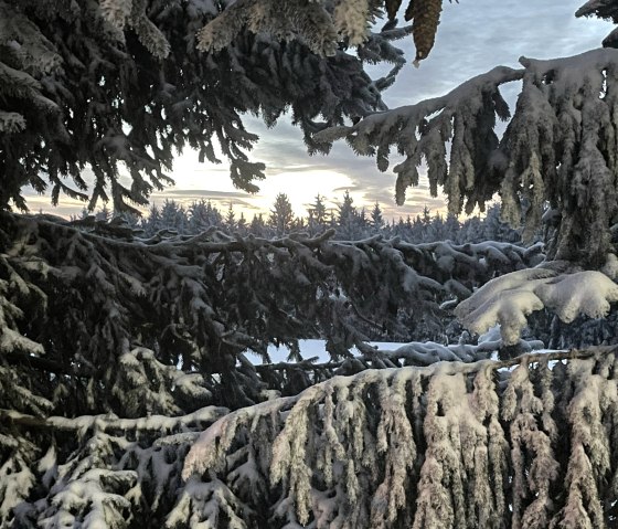 Sonne geht auf, © Nordeifel Tourismus GmbH Sonne geht auf, © Nordeifel Tourismus GmbH