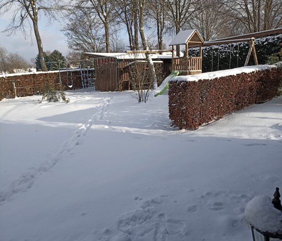 Winter garden Winter garden