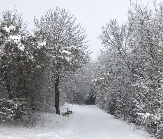 Winter Landscape, © C. Wolter Winter Landscape, © C. Wolter