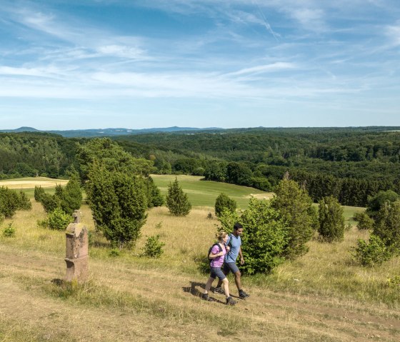 Two hikers on a path in a green, hilly landscape with trees and a wide sky., © Eifel Tourismus GmbH, Dominik Ketz Two hikers on a path in a green, hilly landscape with trees and a wide sky., © Eifel Tourismus GmbH, Dominik Ketz