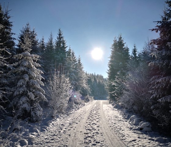 Winterzauber Winterzauber