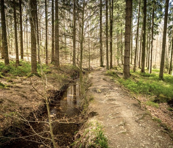 Der Hasselbachgraben, © Kupferstadt Stolberg, Dominik Ketz Der Hasselbachgraben, © Kupferstadt Stolberg, Dominik Ketz