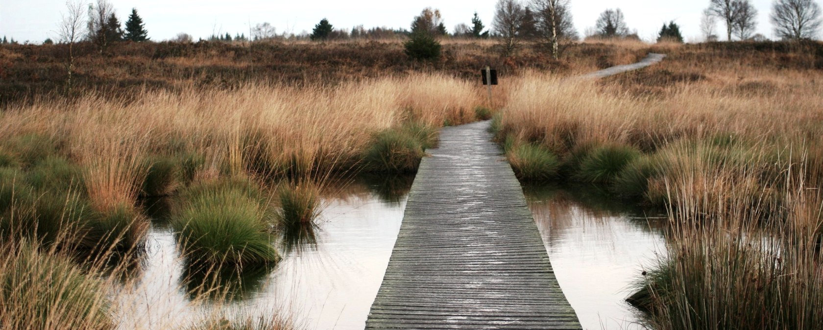 Steg, © Monschau Touristik GmbH - Heike Becker Steg, © Monschau Touristik GmbH - Heike Becker