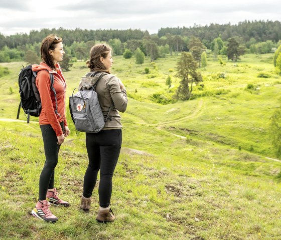 Wandern auf dem Schlangenberg, © Städteregion Aachen, Dominik Ketz Wandern auf dem Schlangenberg, © Städteregion Aachen, Dominik Ketz
