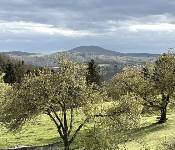 Aremberg Aremberg