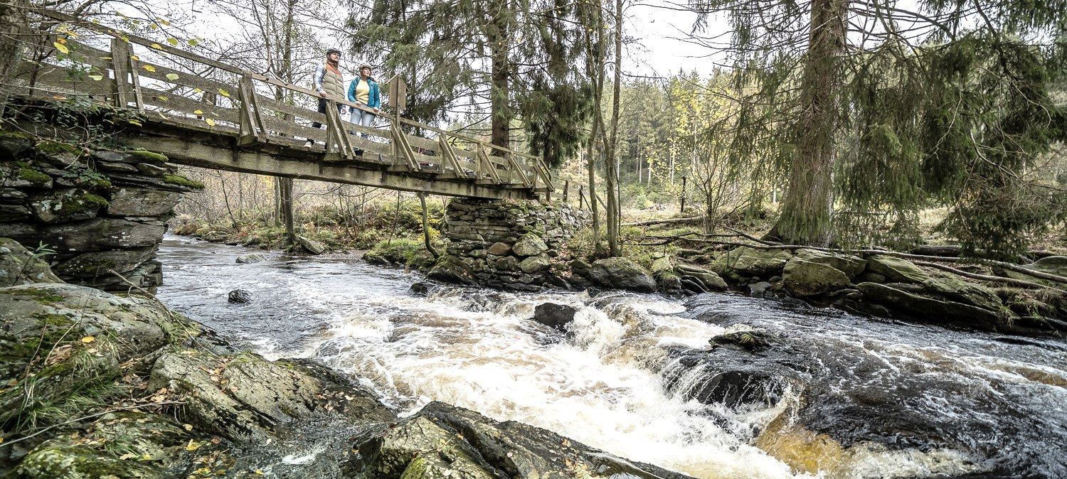 Upper Rur Valley Bridge, © StädteRegion Aachen, Dennis Stratmann Upper Rur Valley Bridge, © StädteRegion Aachen, Dennis Stratmann