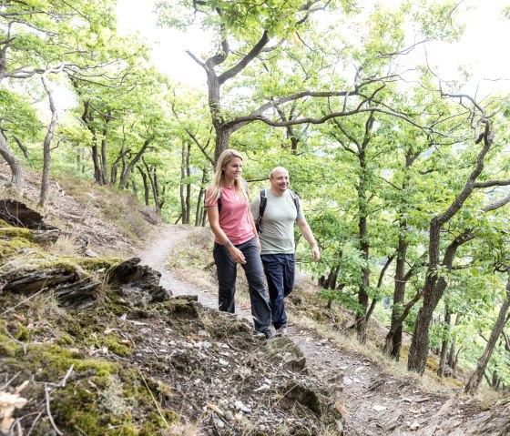 Hike through gnarled oaks on the Meuchelberg, © Eifel Tourismus GmbH, AR-shapefruitAG Hike through gnarled oaks on the Meuchelberg, © Eifel Tourismus GmbH, AR-shapefruitAG