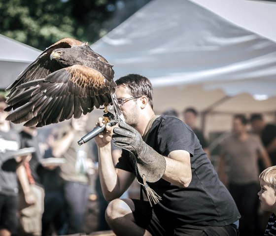 Flight show at Schmidt Wildlife Park, © Wildpark Schmidt Flight show at Schmidt Wildlife Park, © Wildpark Schmidt