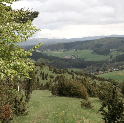 blick-auf-niederehe, © esther-erharter-tourist-information-gerolsteiner-land blick-auf-niederehe, © esther-erharter-tourist-information-gerolsteiner-land