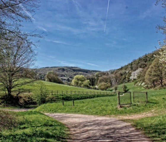 Via country lanes Via country lanes